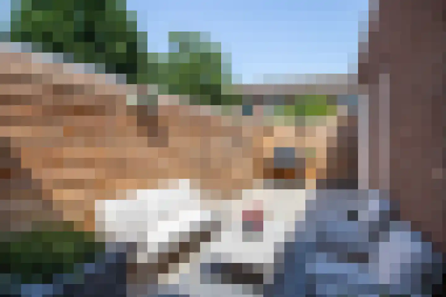 Willink van Collenstraat 38 Breukelen thumbnail 32
