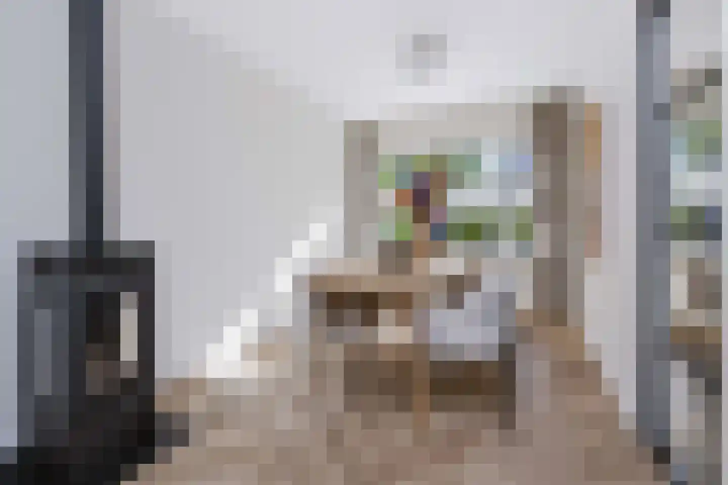 Willink van Collenstraat 48 Breukelen thumbnail 18