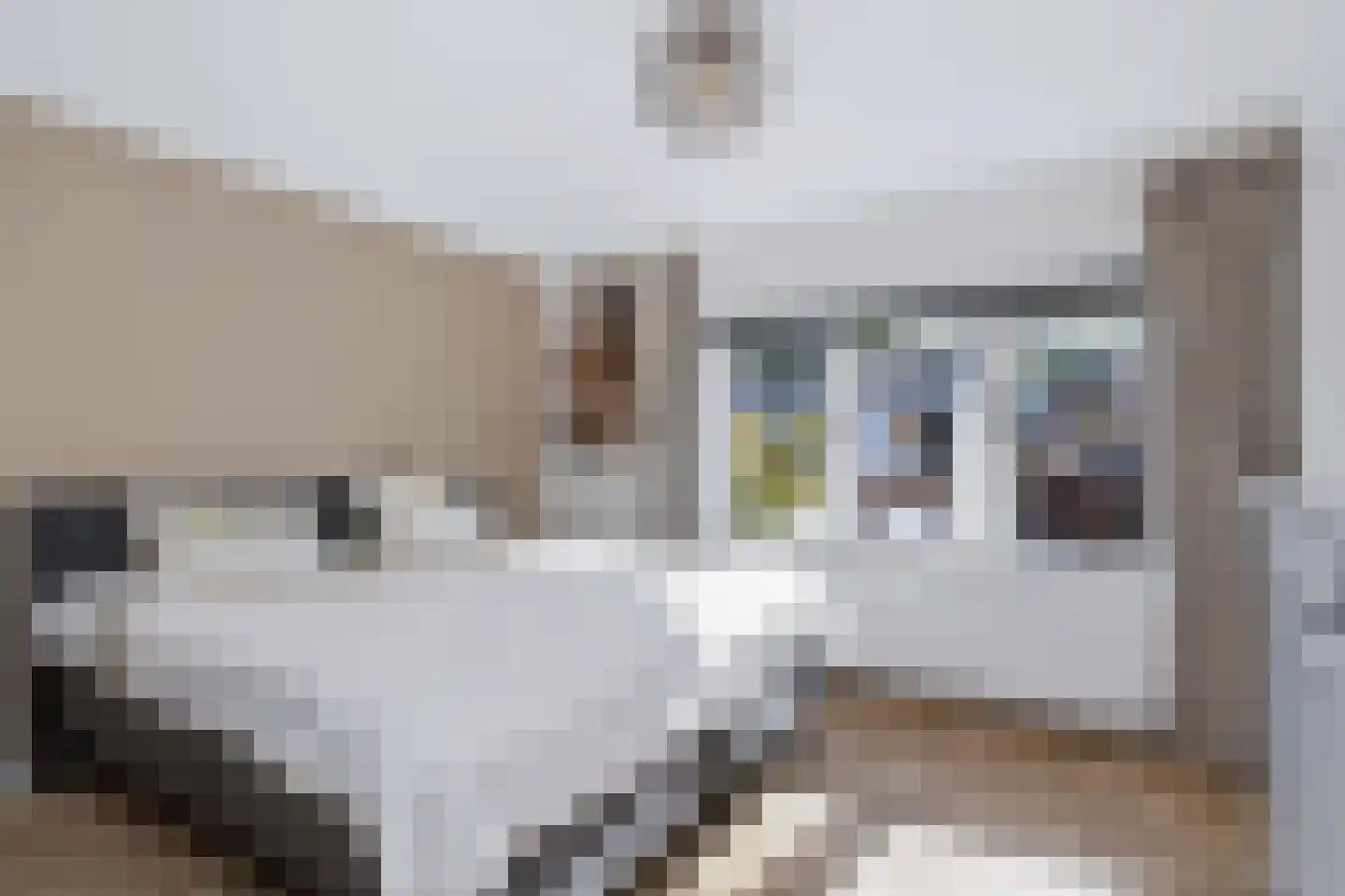 Willink van Collenstraat 48 Breukelen thumbnail 33