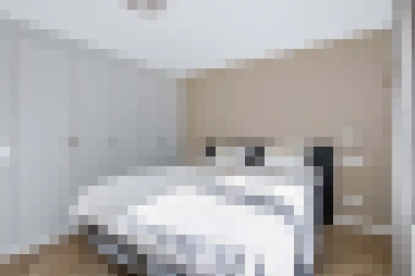 Willink van Collenstraat 48 Breukelen thumbnail 36