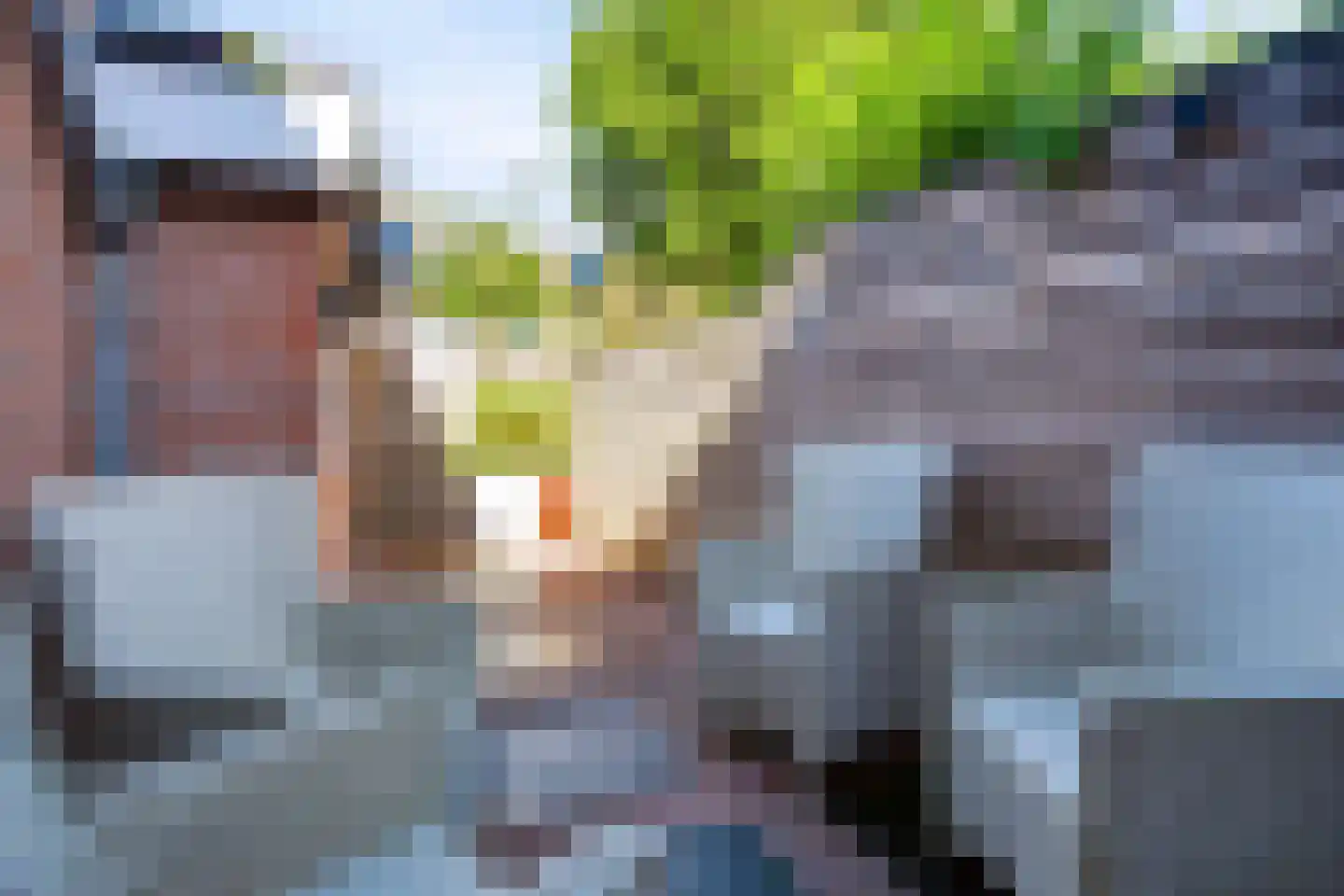 Willink van Collenstraat 48 Breukelen thumbnail 40