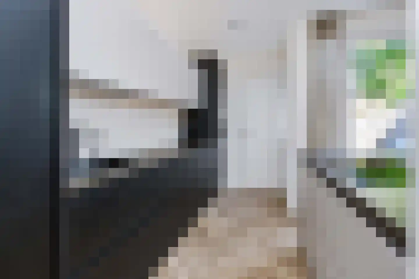 Willink van Collenstraat 48 Breukelen thumbnail 9
