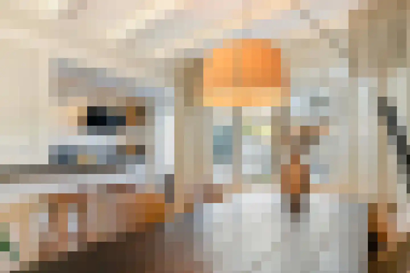 Willink van Collenstraat 62 Breukelen thumbnail 12