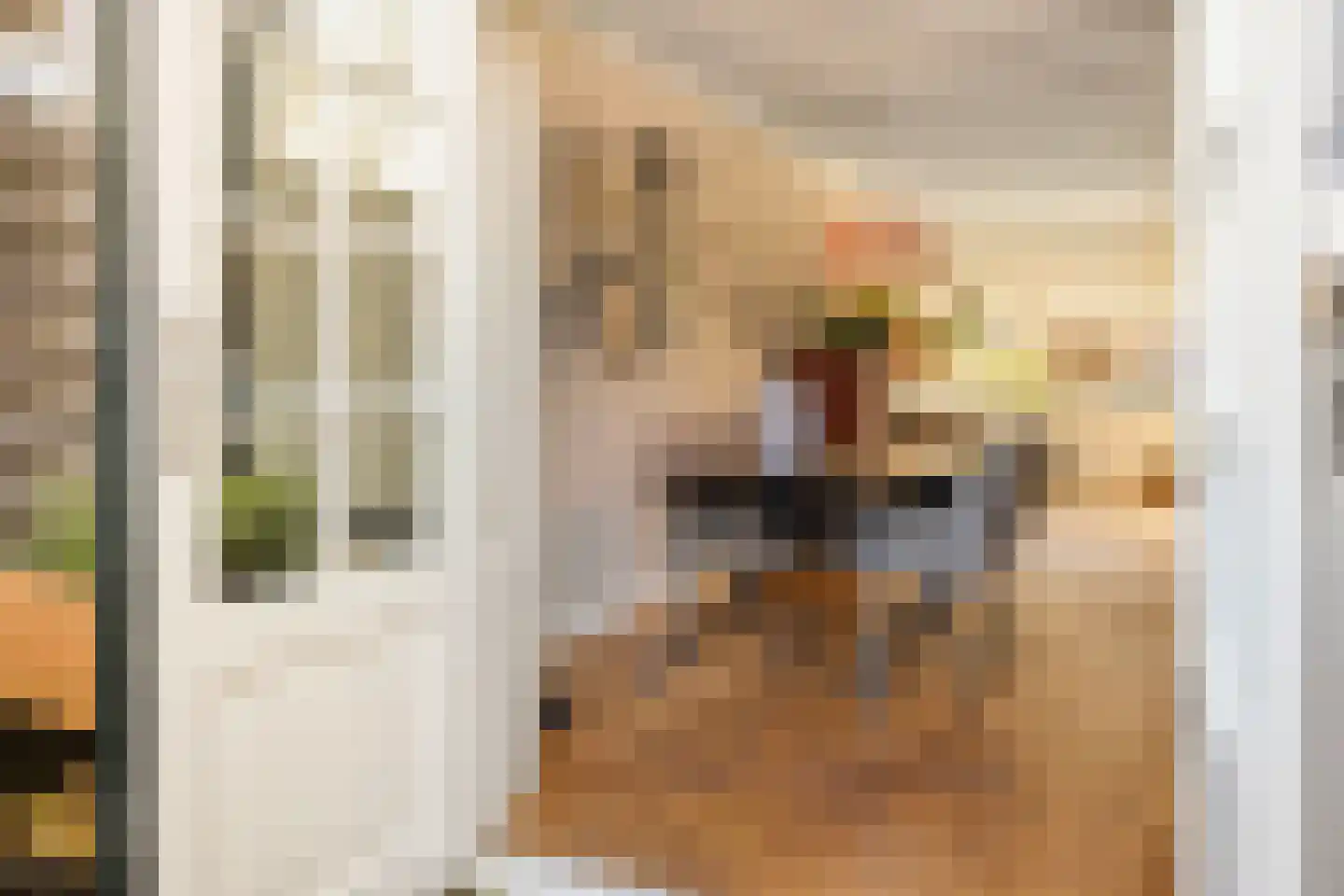 Willink van Collenstraat 62 Breukelen thumbnail 14