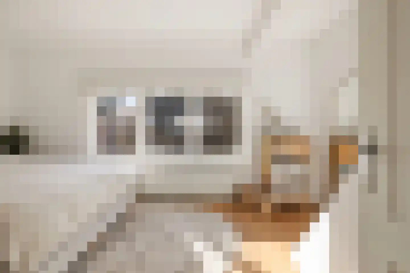 Willink van Collenstraat 62 Breukelen thumbnail 21