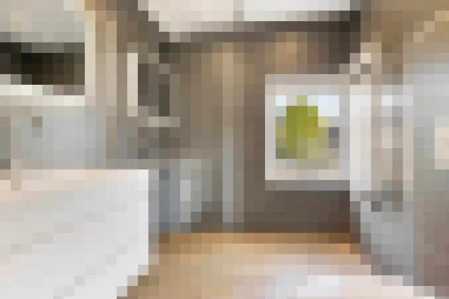 Willink van Collenstraat 62 Breukelen thumbnail 27