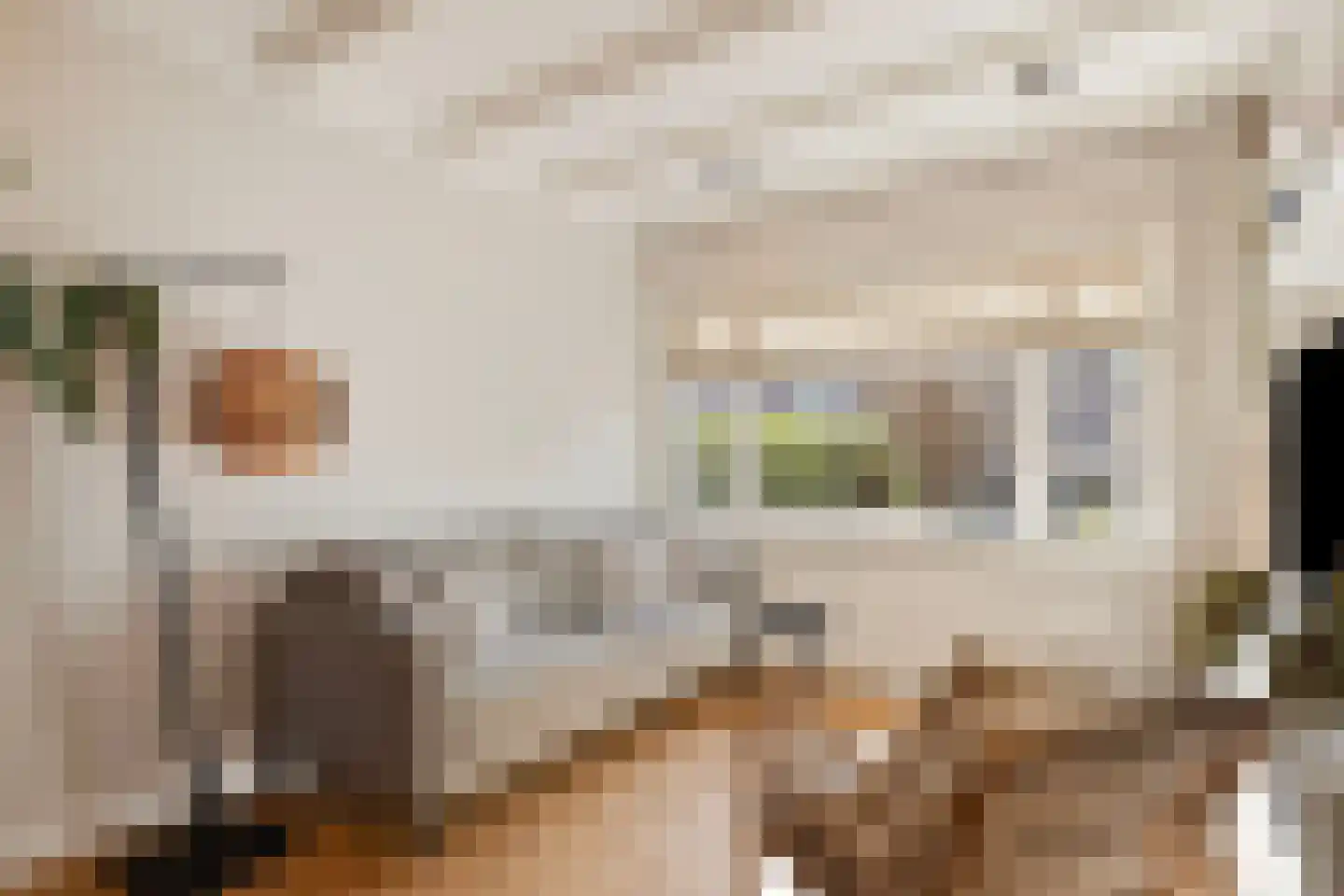 Willink van Collenstraat 62 Breukelen thumbnail 9