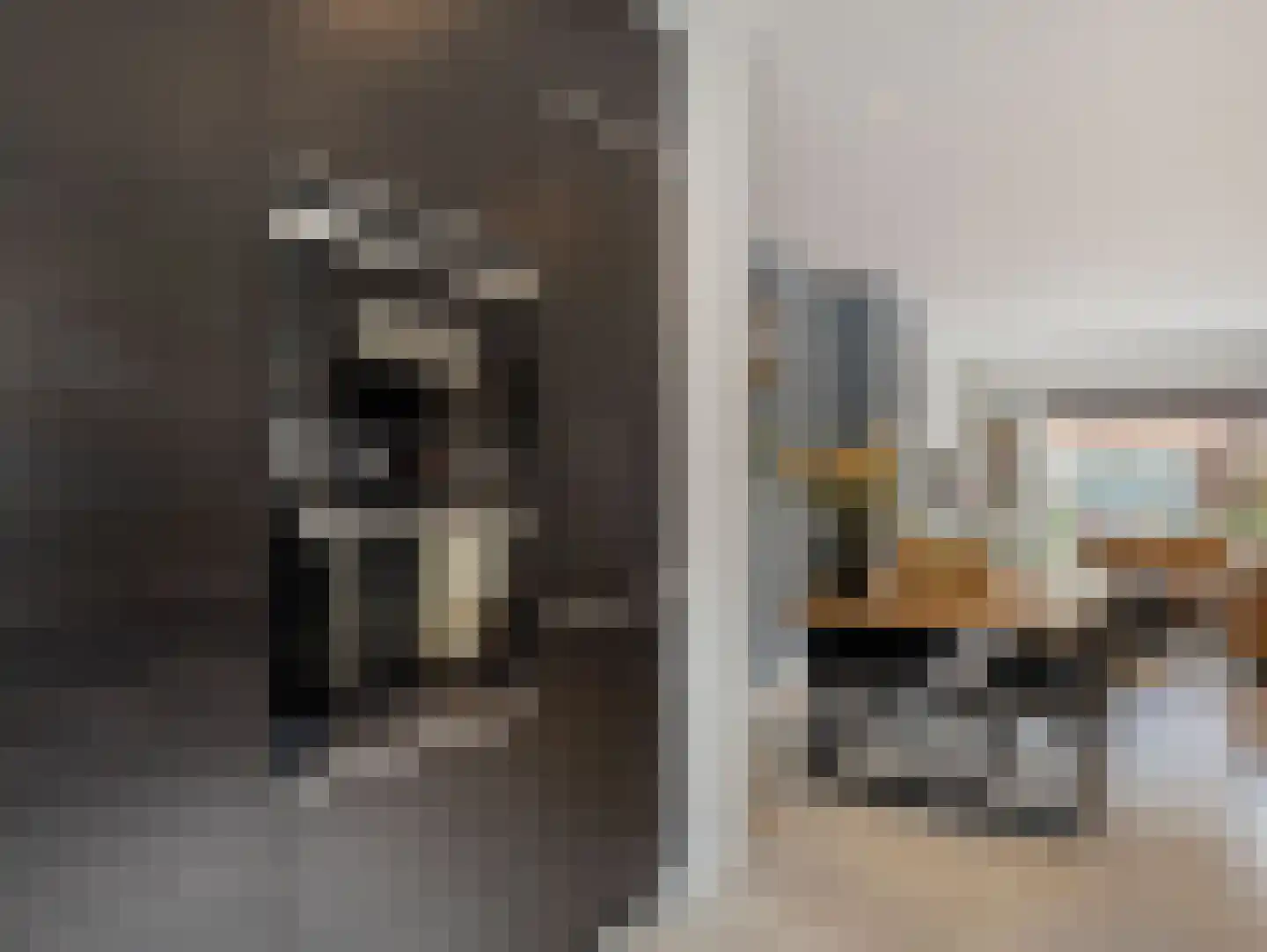 Willink van Collenstraat 67 Breukelen thumbnail 13