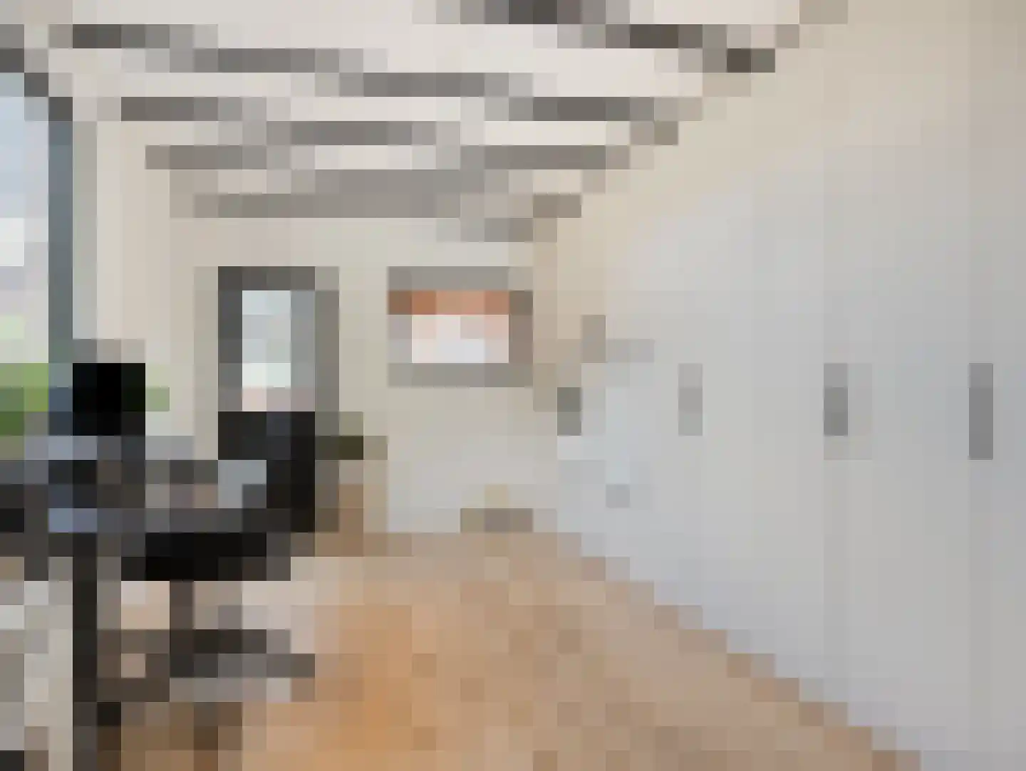 Willink van Collenstraat 67 Breukelen thumbnail 25