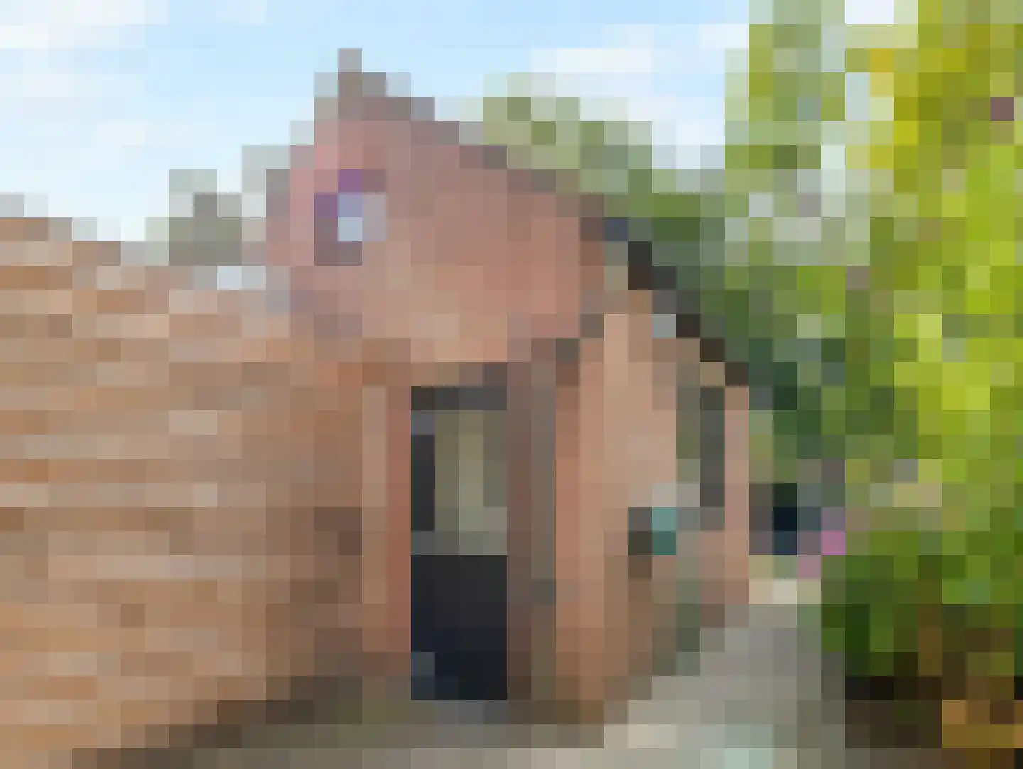 Willink van Collenstraat 67 Breukelen thumbnail 27