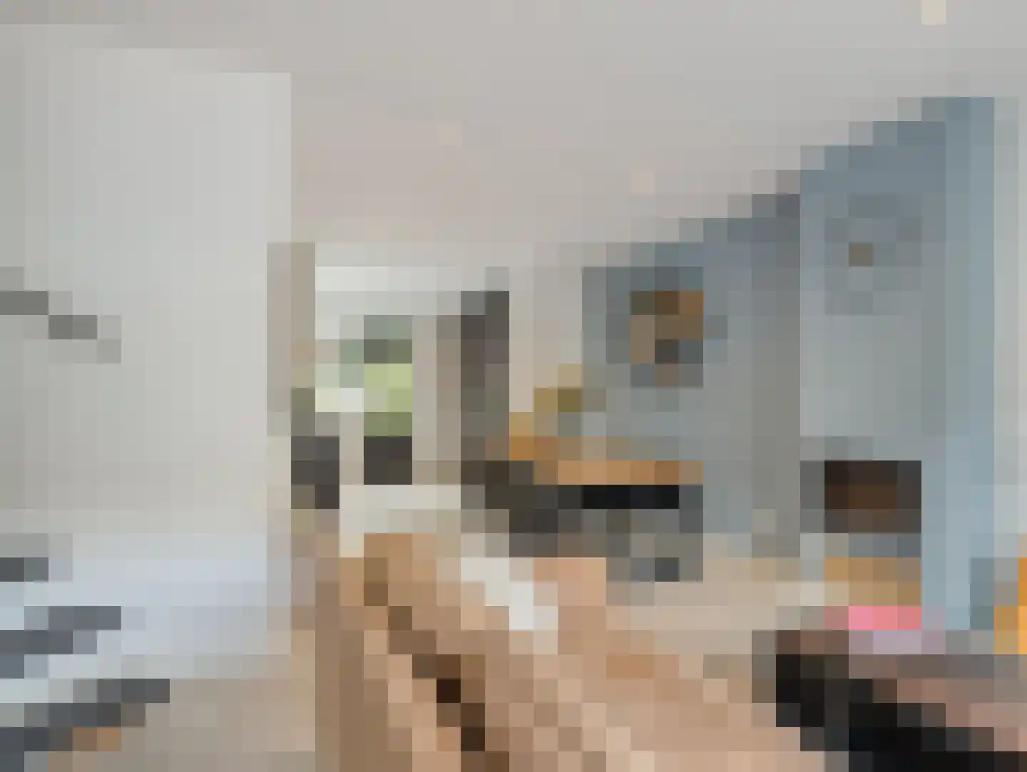 Willink van Collenstraat 67 Breukelen thumbnail 8