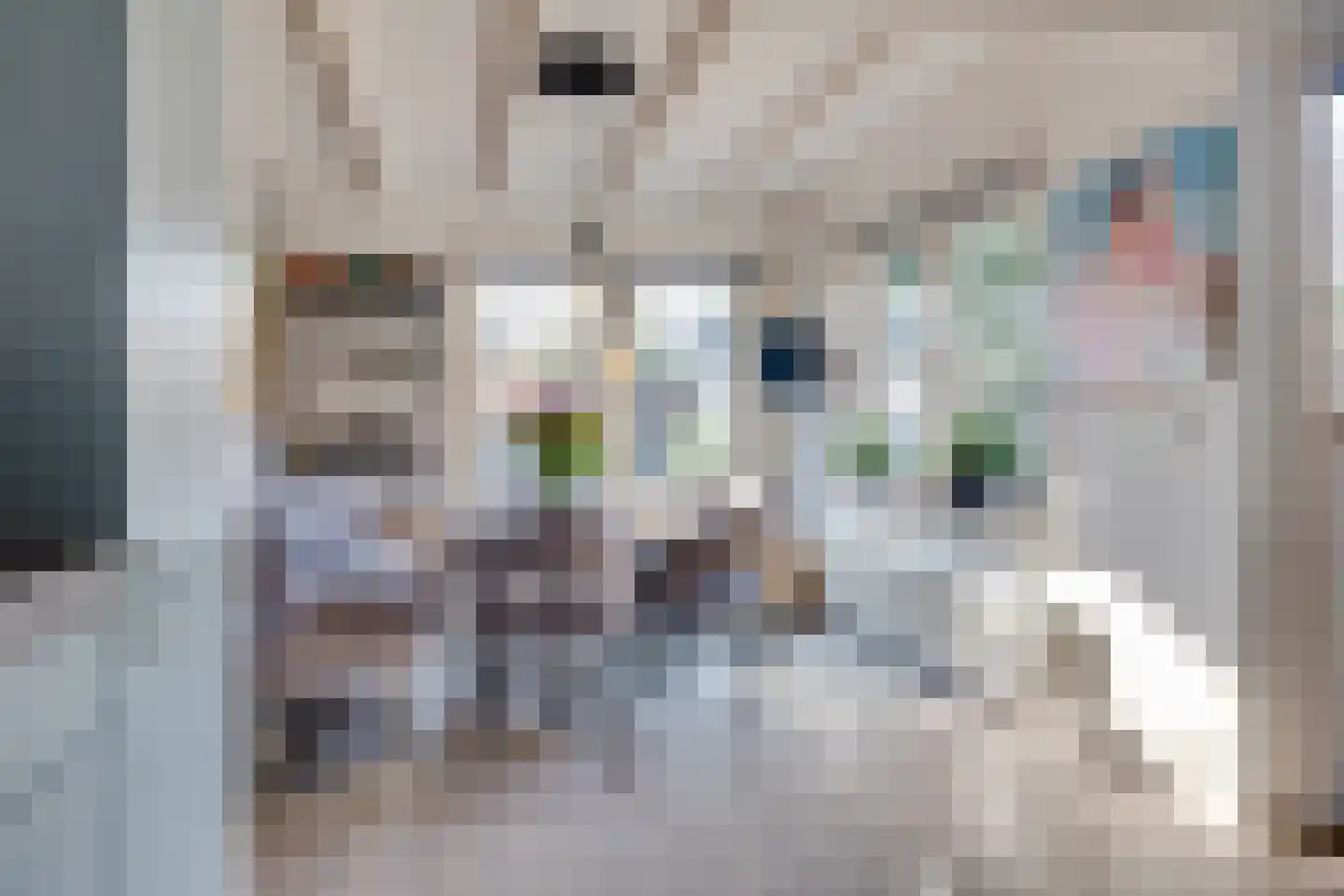 Willink van Collenstraat 69 Breukelen thumbnail 10