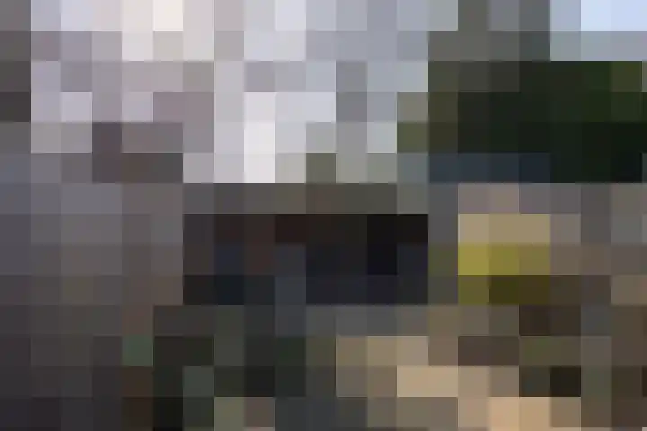 Willink van Collenstraat 69 Breukelen thumbnail 15