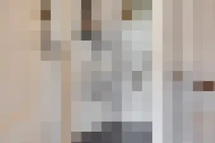 Willink van Collenstraat 69 Breukelen thumbnail 32