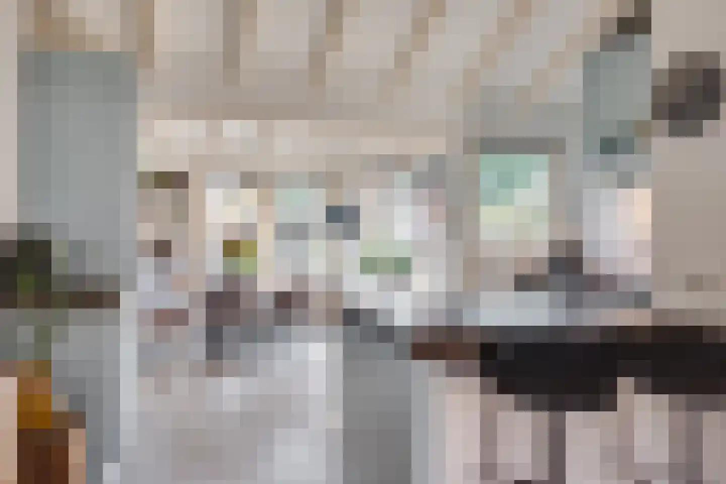 Willink van Collenstraat 69 Breukelen thumbnail 9