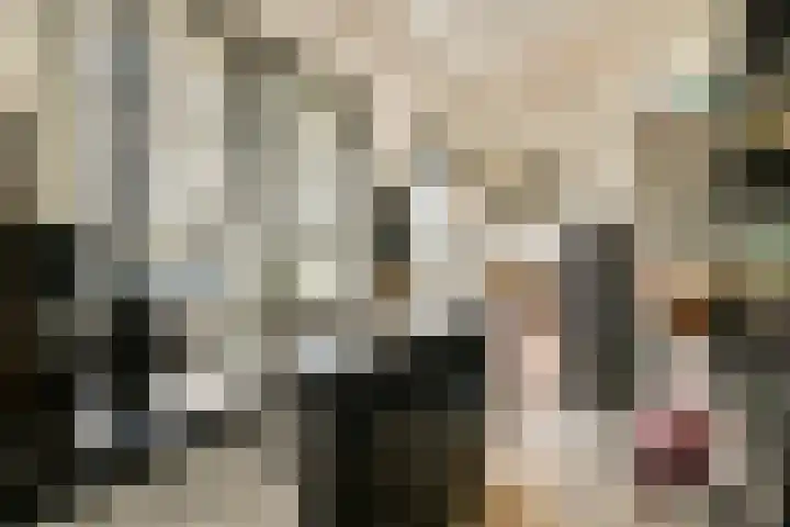 Willink van Collenstraat 77 Breukelen thumbnail 5