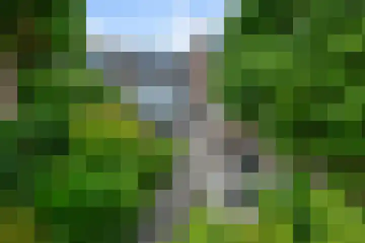 Willinkbeek 18 Zaandam thumbnail 19