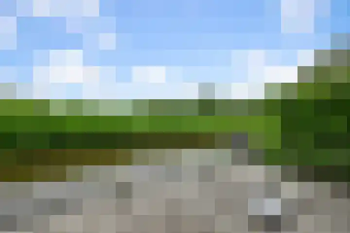 Willinkbeek 18 Zaandam thumbnail 20