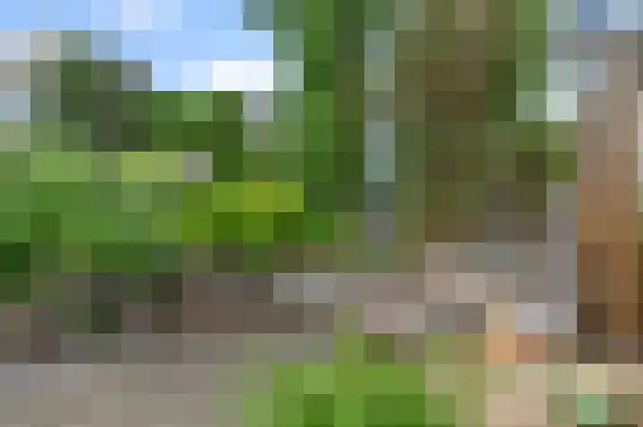 Willinkbeek 18 Zaandam thumbnail 21
