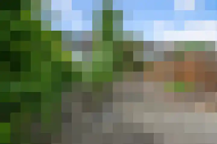 Willinkbeek 18 Zaandam thumbnail 22