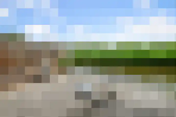 Willinkbeek 18 Zaandam thumbnail 23