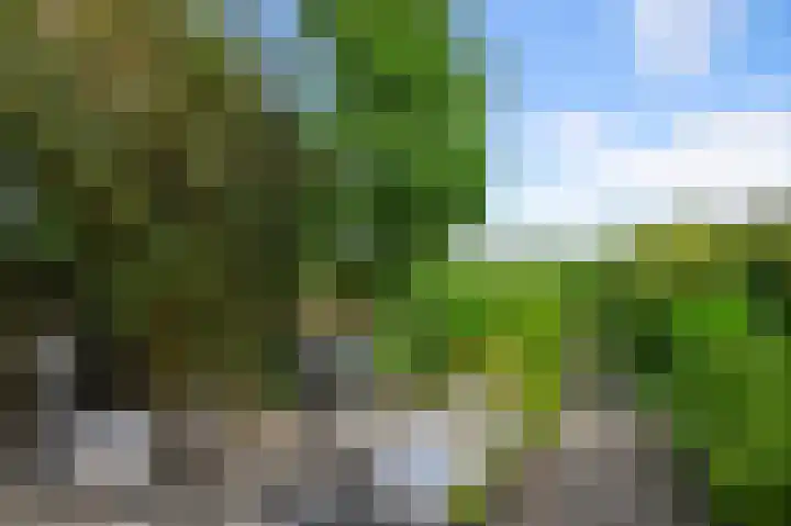 Willinkbeek 18 Zaandam thumbnail 25
