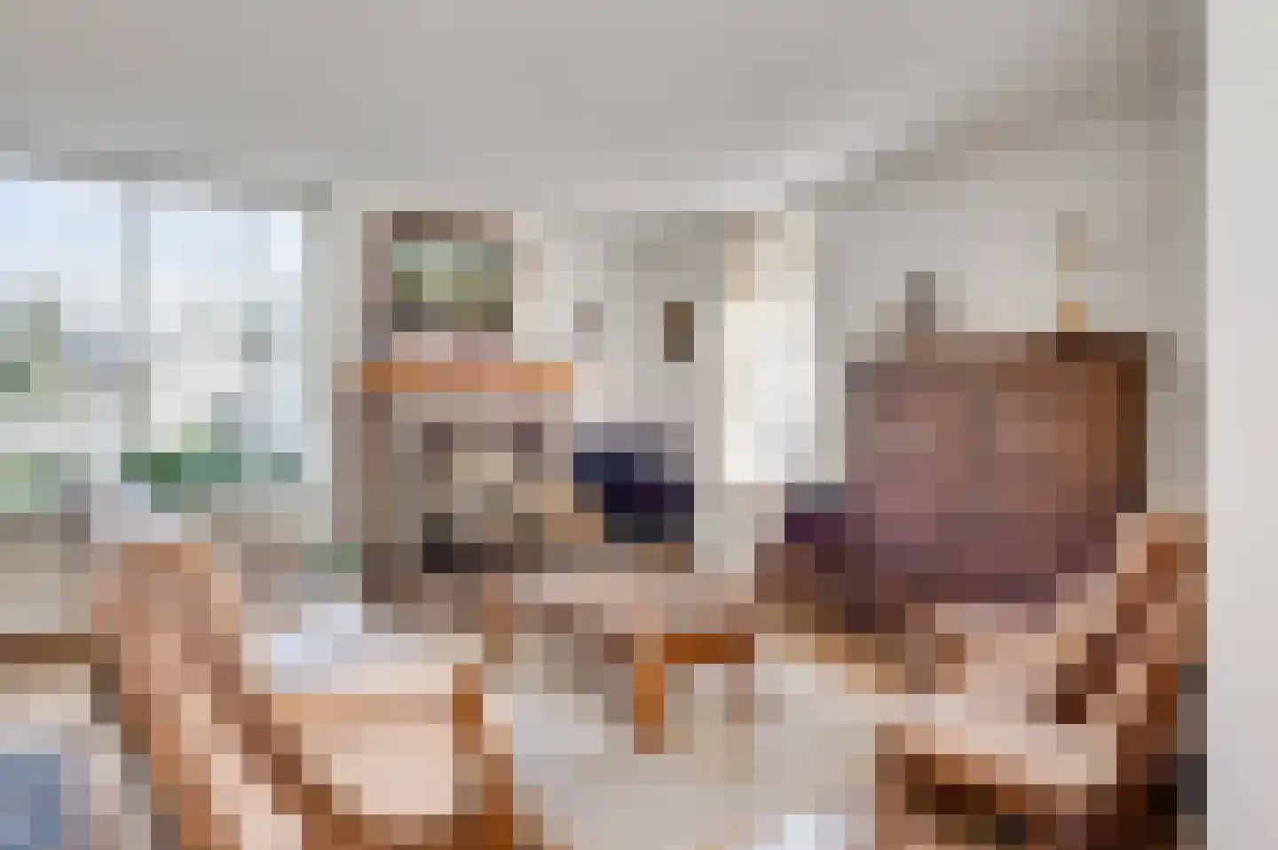 Willinkhof 9 Weert thumbnail 10