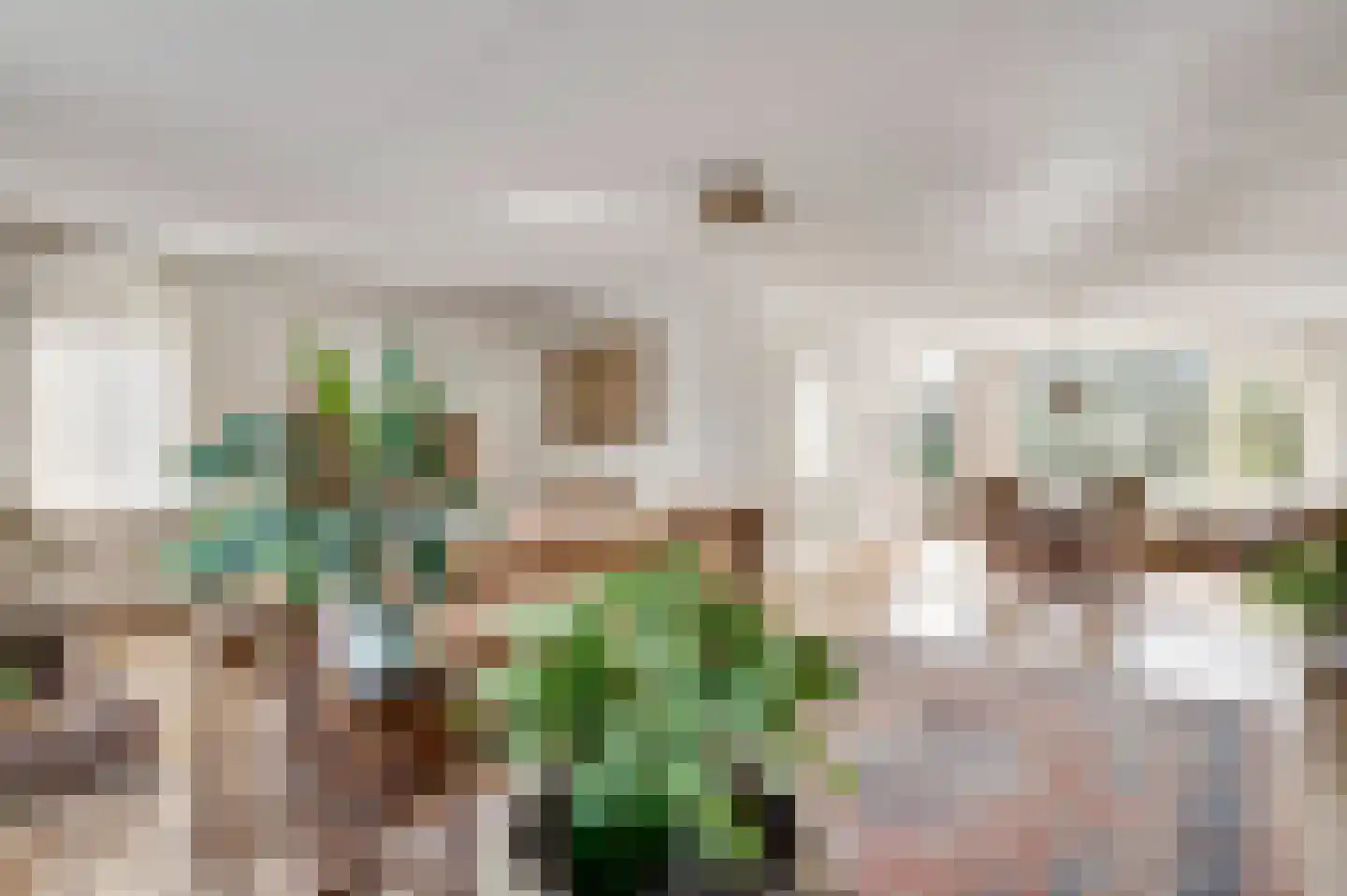 Willinkhof 9 Weert thumbnail 11