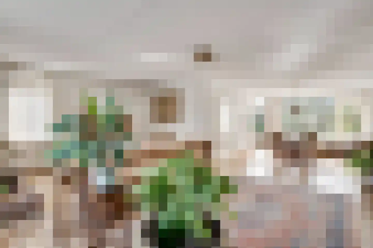 Willinkhof 9 Weert thumbnail 12
