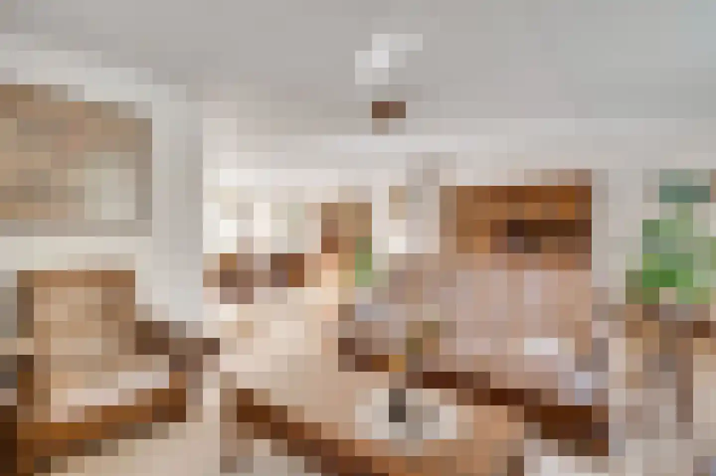 Willinkhof 9 Weert thumbnail 13
