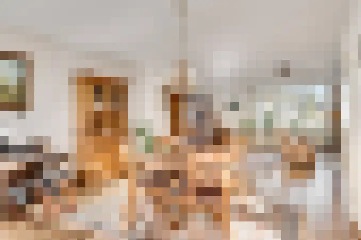Willinkhof 9 Weert thumbnail 15