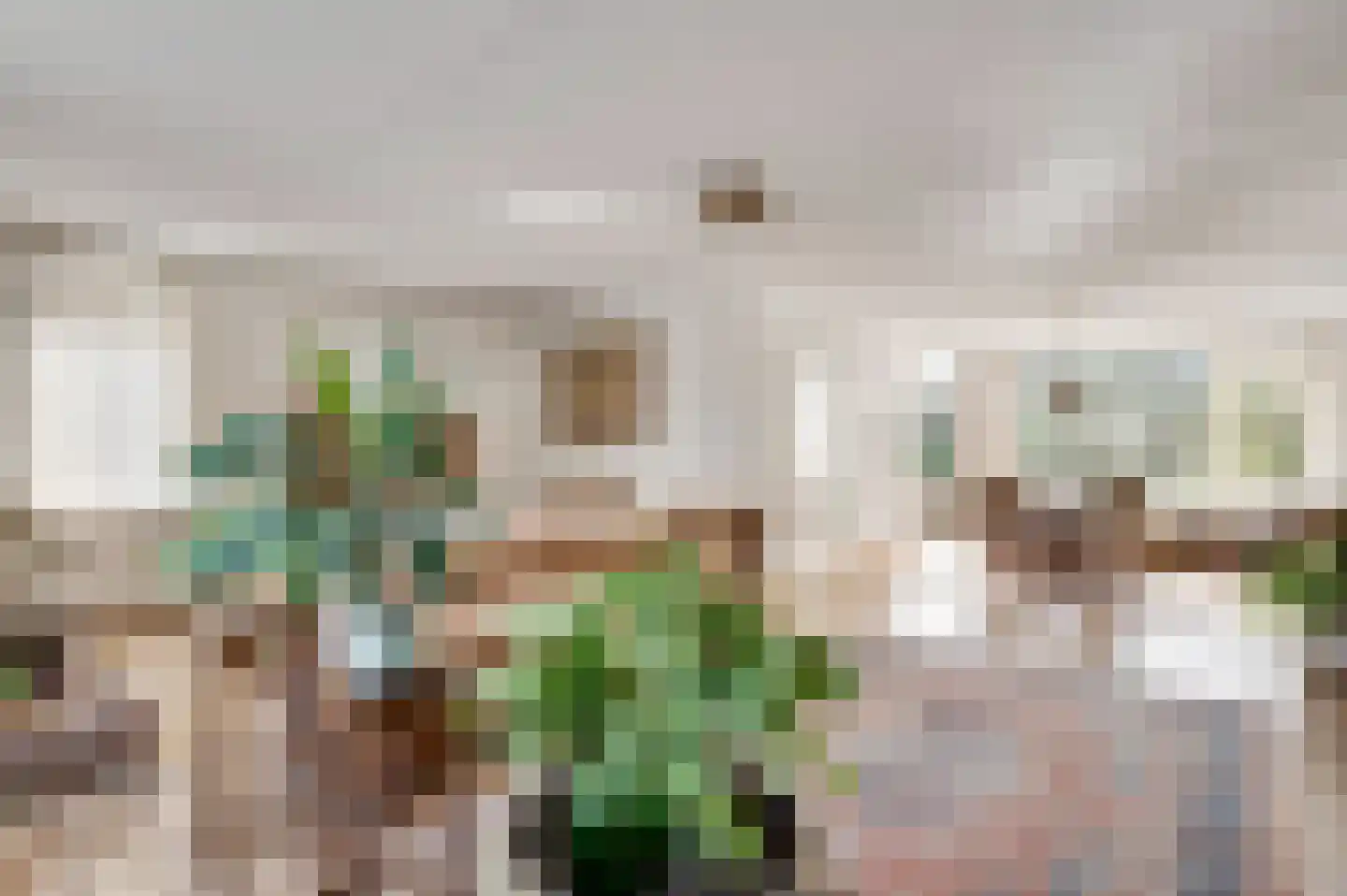 Willinkhof 9 Weert thumbnail 16