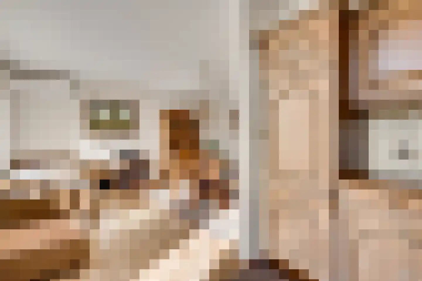 Willinkhof 9 Weert thumbnail 17