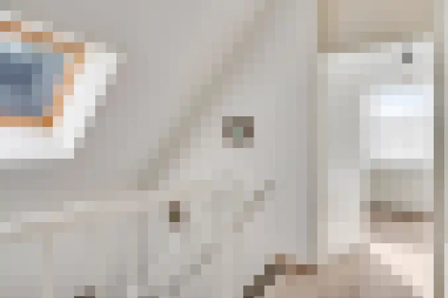 Willinkhof 9 Weert thumbnail 20