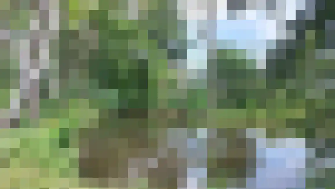 Willinkhof 9 Weert thumbnail 35