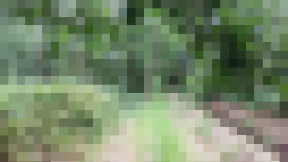 Willinkhof 9 Weert thumbnail 36
