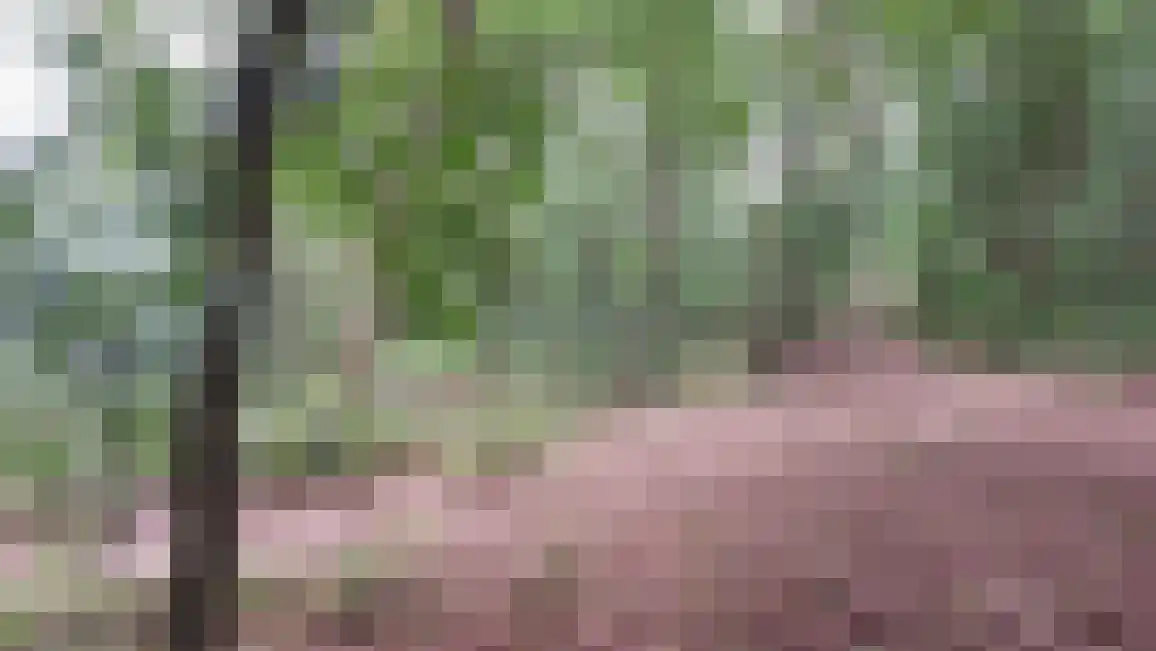 Willinkhof 9 Weert thumbnail 37