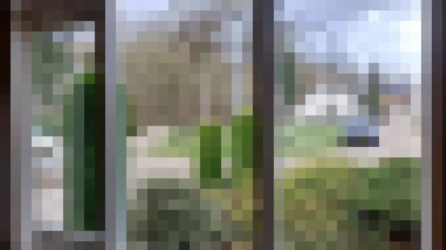 Willinkhof 9 Weert thumbnail 37