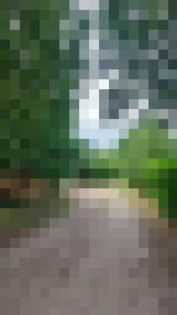 Willinkhof 9 Weert thumbnail 38