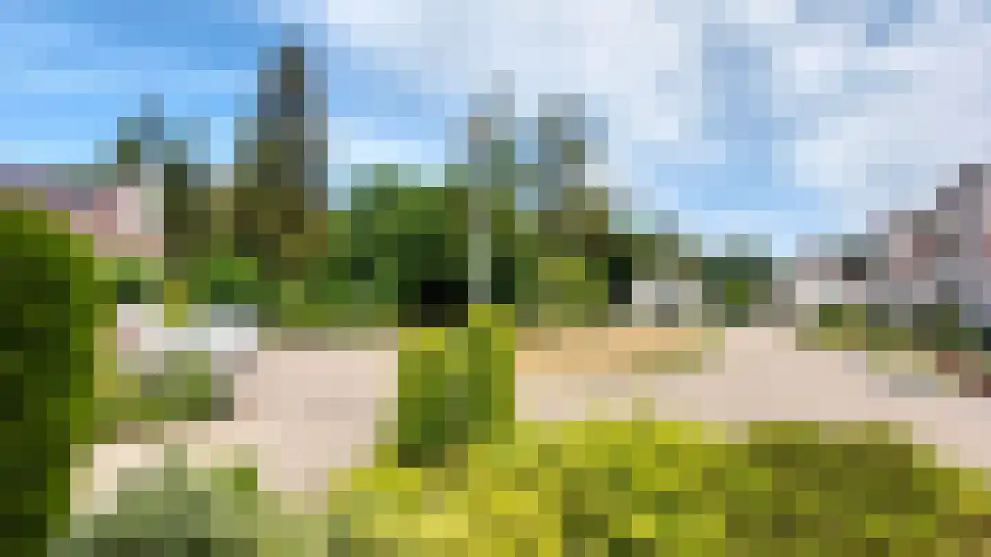 Willinkhof 9 Weert thumbnail 4