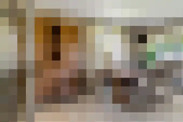 Willinkhuizersteeg 2 B Wekerom thumbnail 16