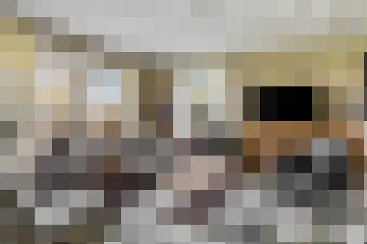 Willinkhuizersteeg 2 B Wekerom thumbnail 19