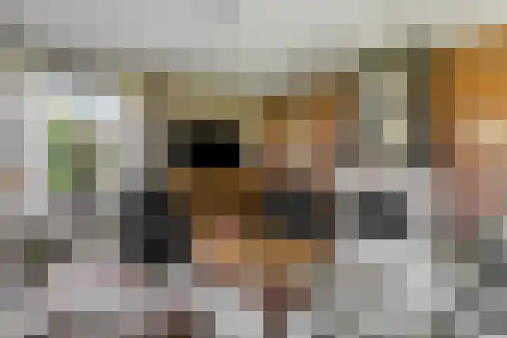 Willinkhuizersteeg 2 B Wekerom thumbnail 20