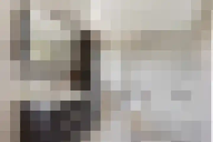 Willinkhuizersteeg 2 B Wekerom thumbnail 34