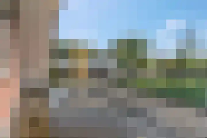 Willinkhuizersteeg 2 B Wekerom thumbnail 41