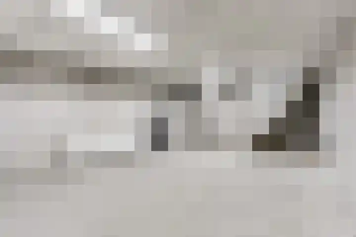 Willinkhuizersteeg 2 B Wekerom thumbnail 42