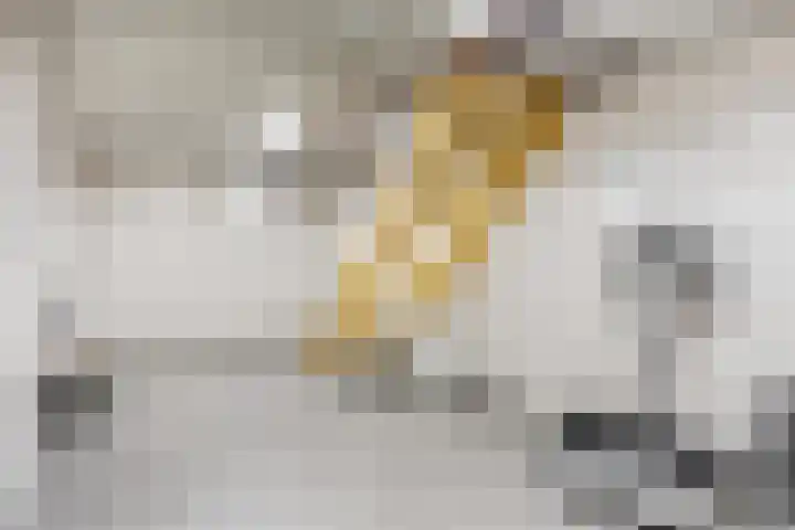 Willinkhuizersteeg 2 B Wekerom thumbnail 44