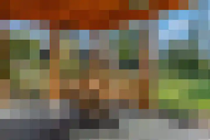 Willinkhuizersteeg 2 B Wekerom thumbnail 46
