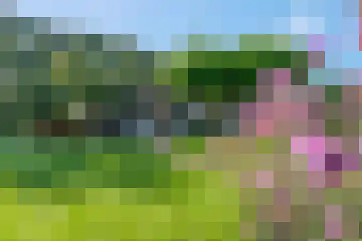 Willinkhuizersteeg 2 B Wekerom thumbnail 49