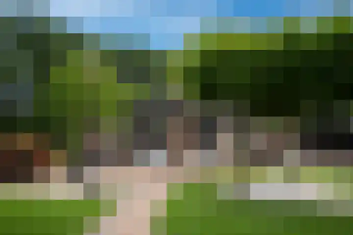 Willinkhuizersteeg 2 B Wekerom thumbnail 50